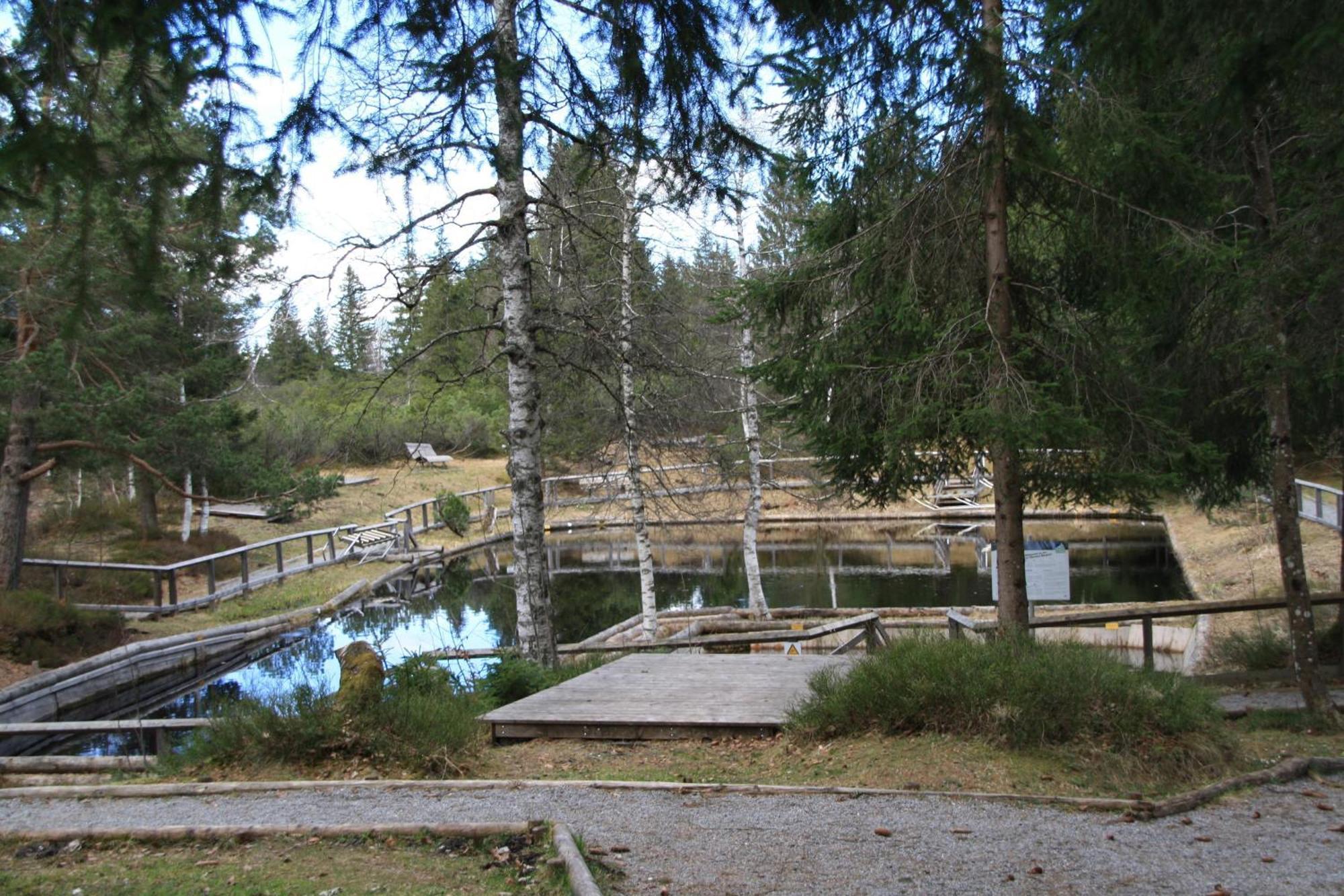 Ferienwohnung Bachmann Oberjoch Dış mekan fotoğraf